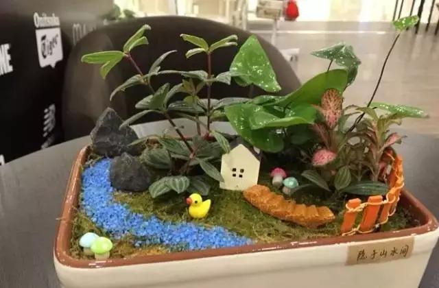 武汉一夜之间白了头,这回终于有得玩了!