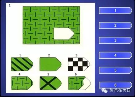 美国智商测试3与5之间的数字,美国智商测试搞笑小孩