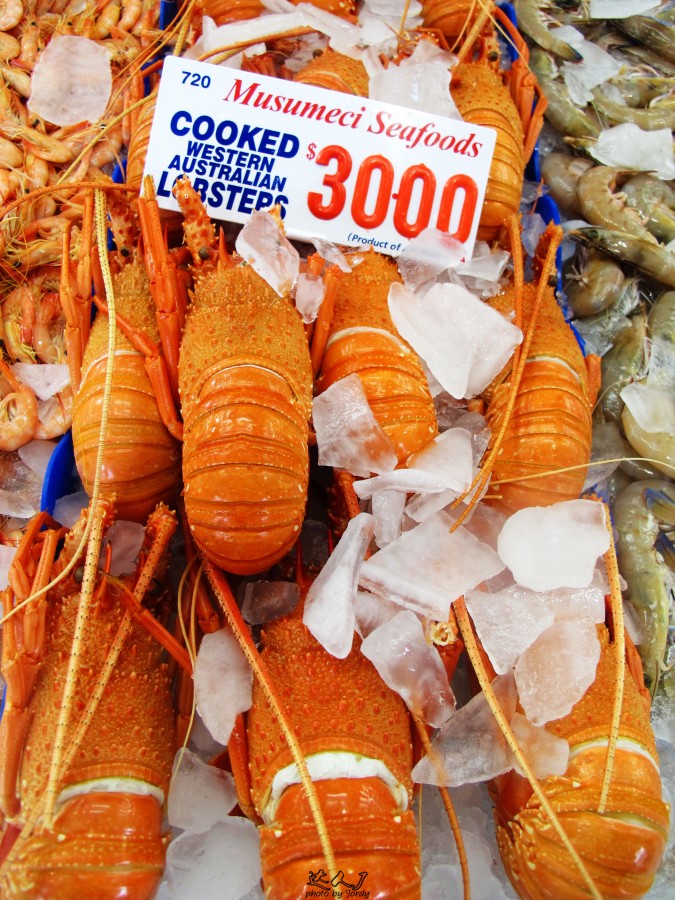 悉尼炎热,悉尼潮湿还是干燥