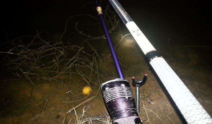 西江夜钓最佳时间,西江夜钓没口