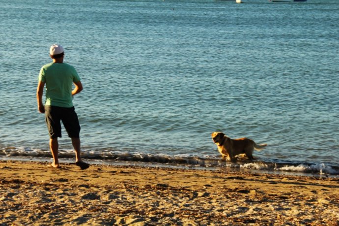 奥克兰天空城,奥克兰天空之塔攻略