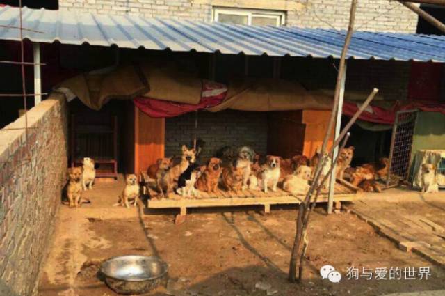 他们是最可爱的人作文700字 (他们是最可爱的人英语)