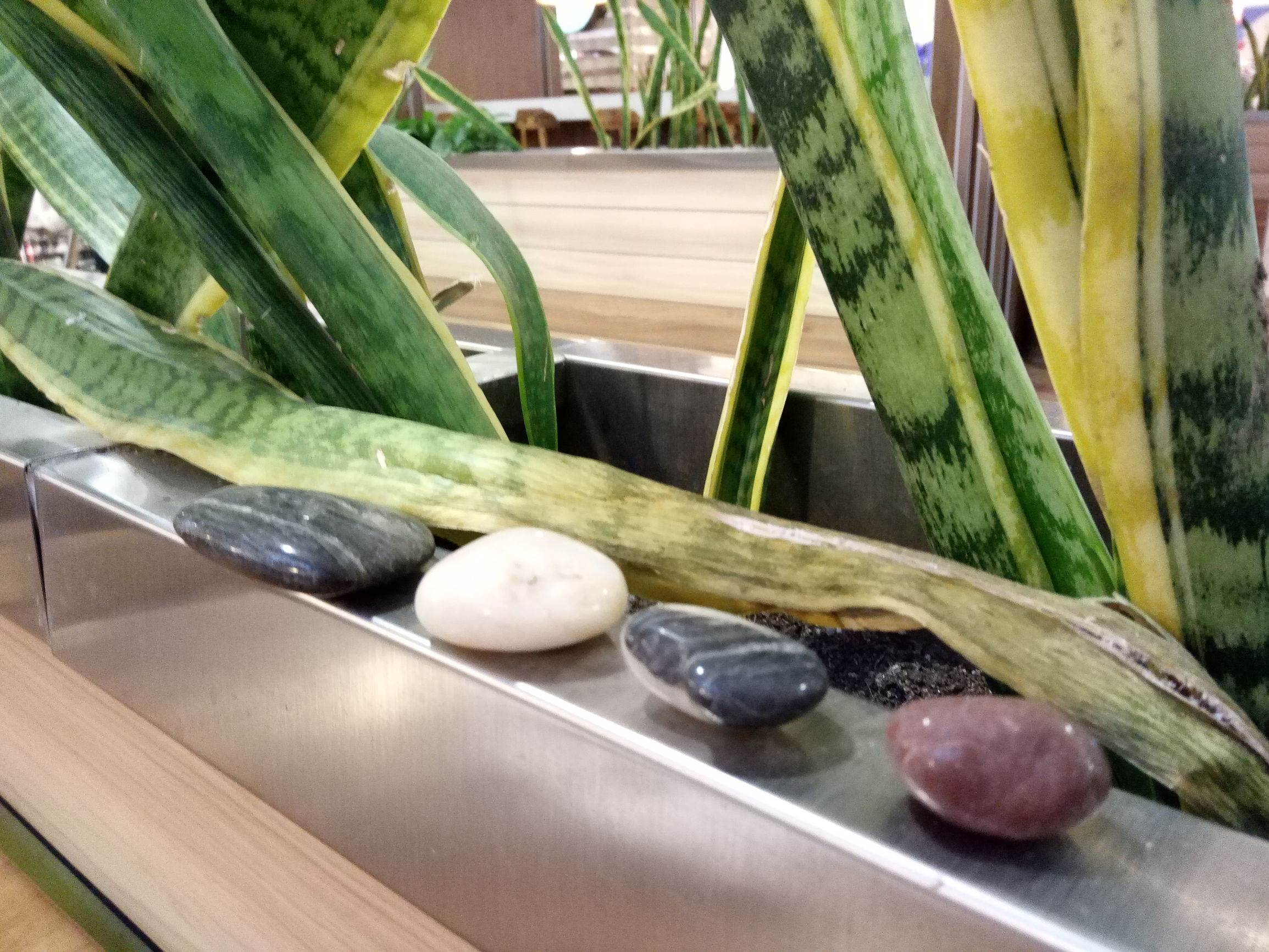 vivox60深度体验,vivox6上手体验