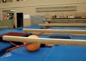 u23亚洲杯会不会踢假球,今天u23亚洲杯空场了吗