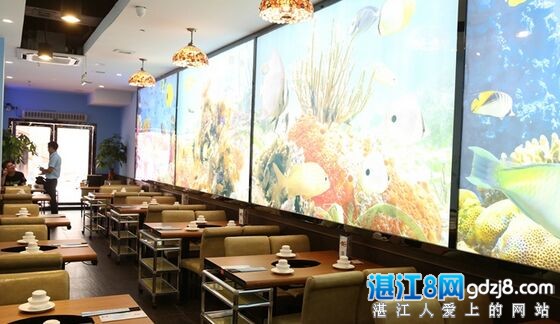 湛江烤鱼老店,湛江东海岛有烤鱼店