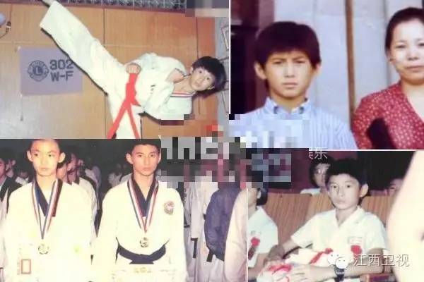 李连杰浪荡江湖,李连杰甄子丹赵文卓主演