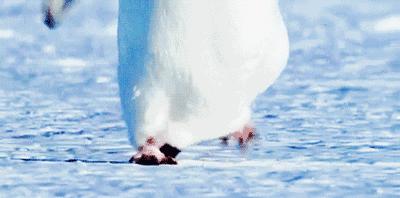 雪天穿什么鞋套防滑效果好,下雪穿什么鞋防滑效果最好