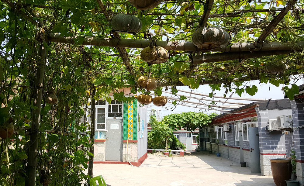 乐亭碧海渔家,乐亭碧海渔家怎么样