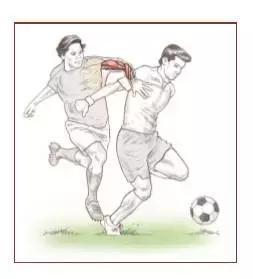 足球运动的专项体能训练,足球运动应注意哪些事项