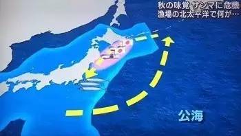 只属于这个季节的海味，带着内脏吃说明你是行家