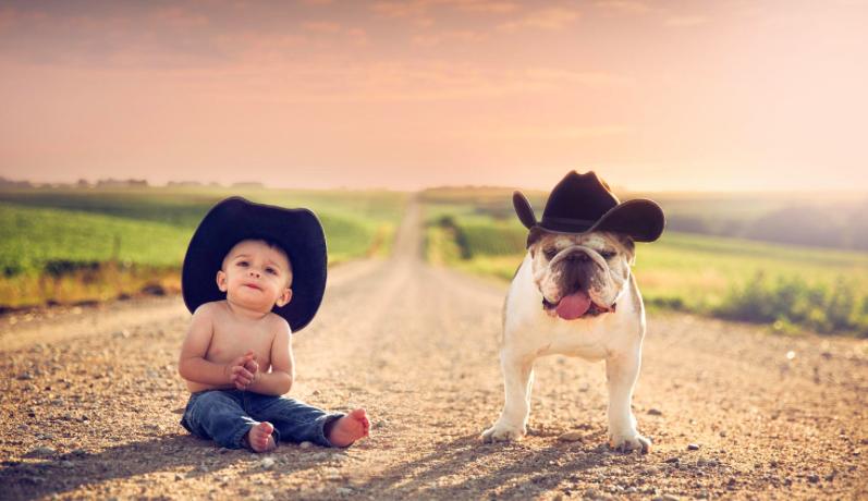 虐待小动物触犯的法律,宝宝虐待小动物怎么办