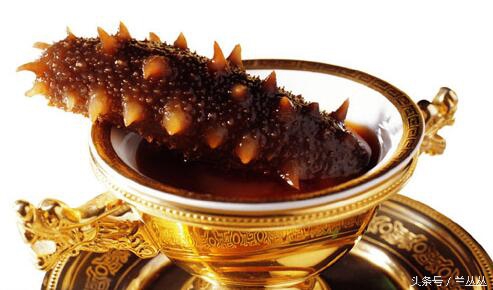 吃海参注意什么事项,癌症晚期吃海参注意什么