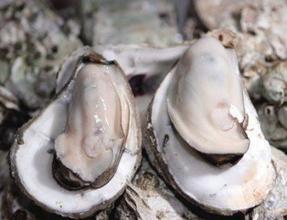 这是一篇有味道的文章~喜欢海产品的你还不进来一观