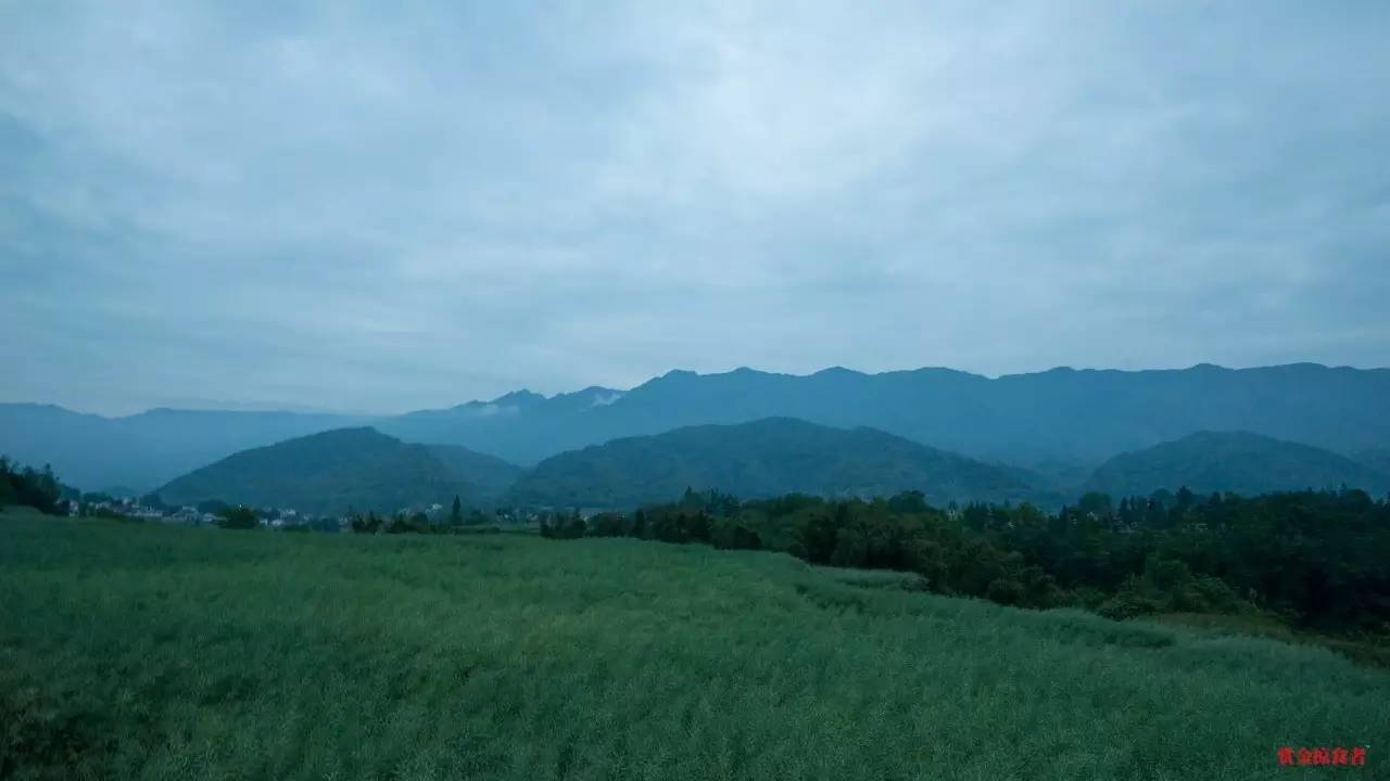 李明青藏特产,李明普洱茶