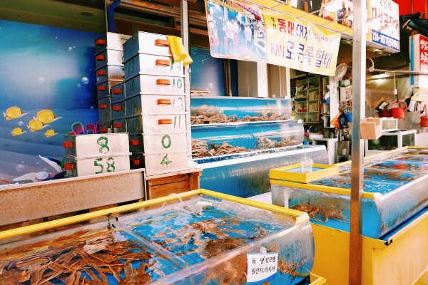 韩国美食集合大全,最新韩国美食大全