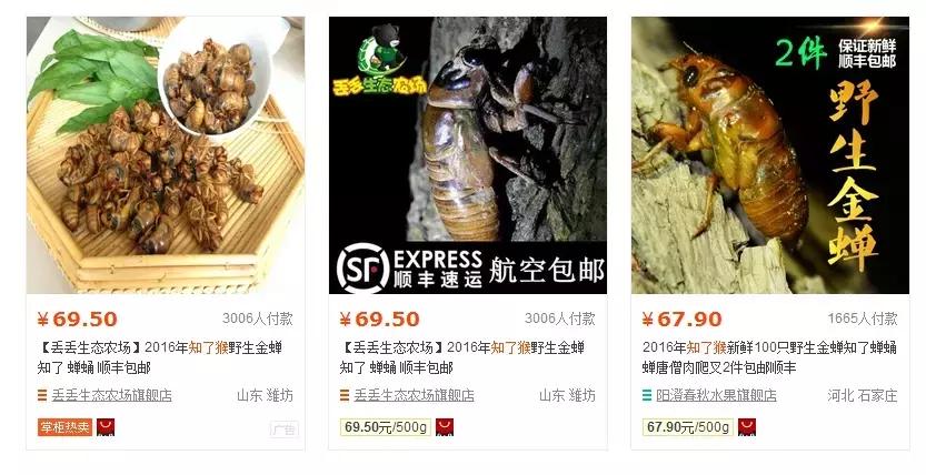 电商新手怎么选产品,新手做电商适合做什么类目