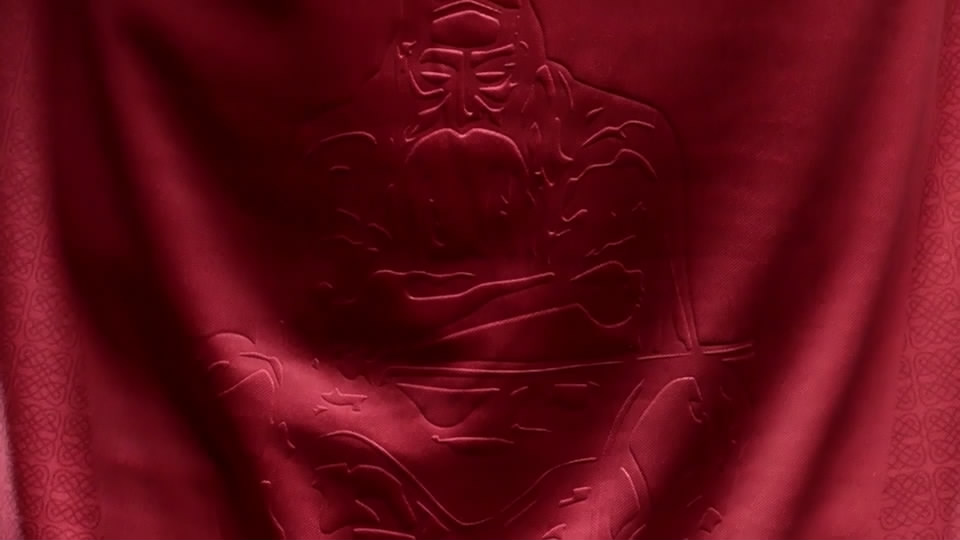 2019丹麦队员球衣,丹麦2024年主场球衣