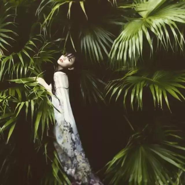 汉服之美谓之华作文,汉服之美的文章