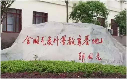 成都适合小孩子探索自然的地方,成都有哪些适合小朋友长见识的地方