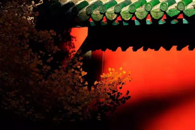 四年级上学期古诗词大全必背,开学了的古诗