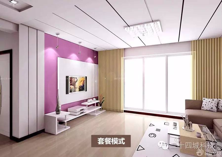 透明式装修是什么,透明化装修是不是真的