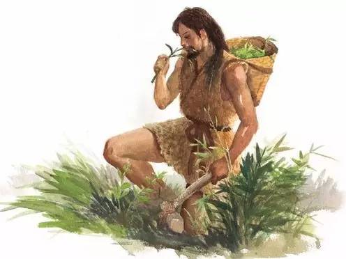 开学啦英语怎么学,学习茶学的好处