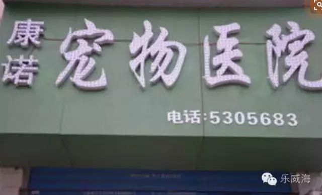 威海最全的宠物店汇总!喵奴汪主人还不速速收藏!