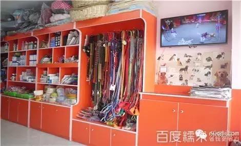 威海最全的宠物店汇总!喵奴汪主人还不速速收藏!