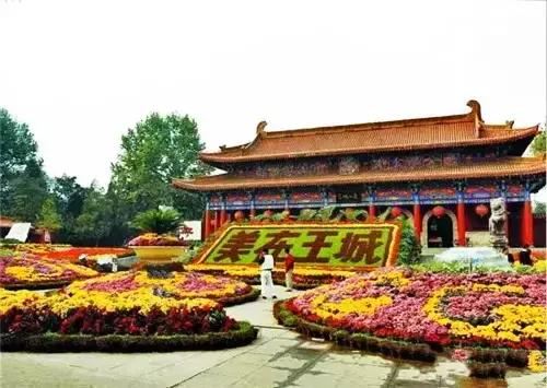 洛阳涧西区好玩的景点,洛阳35个免费景点