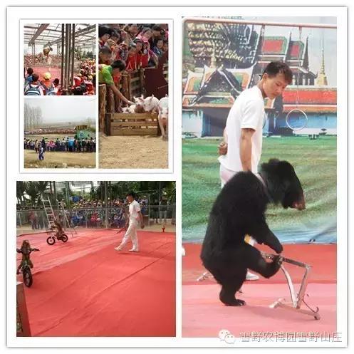 感恩教师节景区活动,感恩教师节门票优惠政策