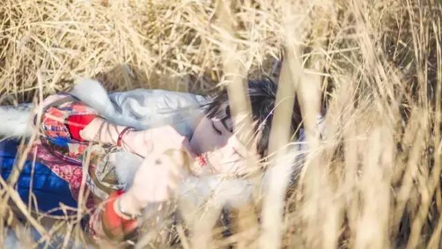 汉服之美谓之华作文,汉服之美的文章