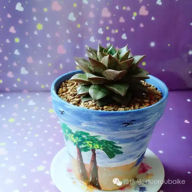 入坑就不能自拔,入坑后无法自拔