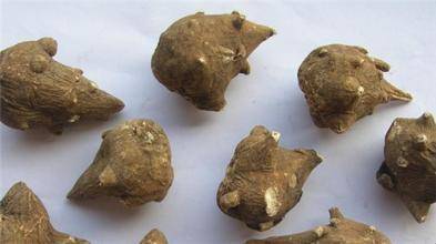 涓嵂榛戦檮瀛愬浣曠厧,涓嵂澶ч檮瀛愮殑鍒悕