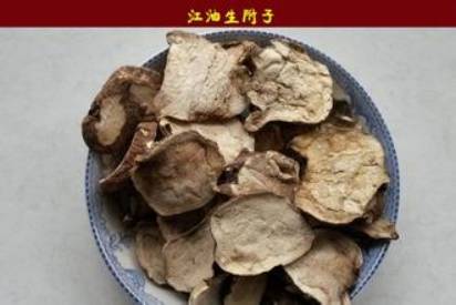 中药附子使用歌诀,每日一味中药附子