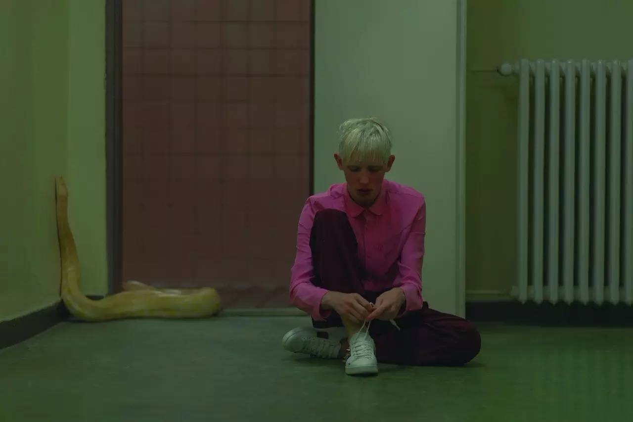 时装版春款小白鞋网鞋新款,超火原宿风小白鞋