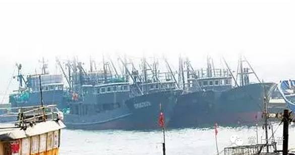 金普新区周边游打卡地,金普新区旅游攻略一日游