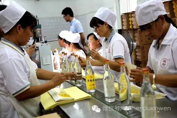 都说南厂出好酒,到底好在哪里?酒乡宁陵探源