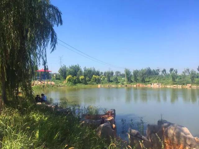 德州动植物园摄影,德州植物园景点