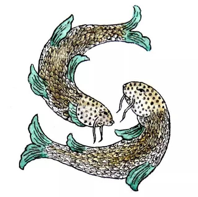 画在唐卡上的医书，令人惊叹！