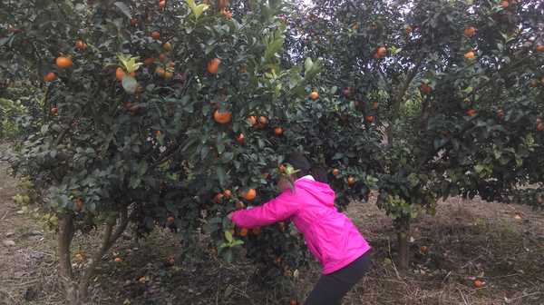 南昆山哪里好玩,惠州龙门南昆山