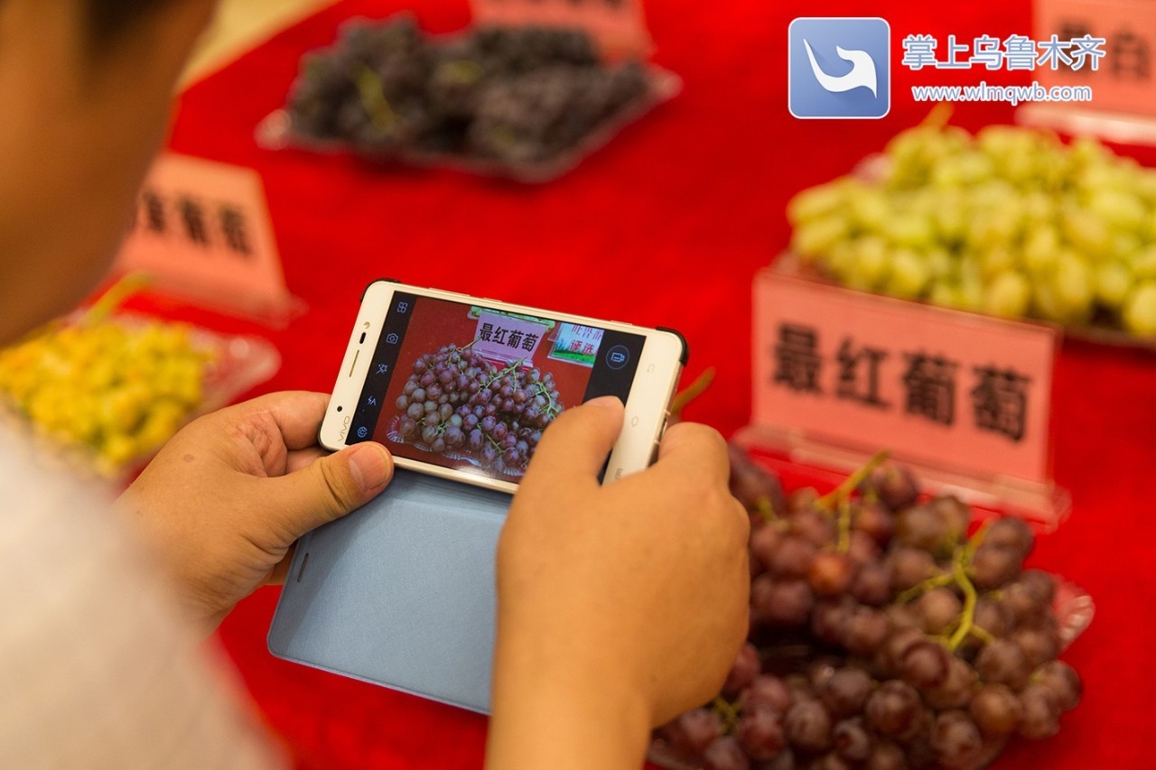 自带花香味的葡萄你吃过吗,吃葡萄不吐葡萄皮的葡萄怎么挑