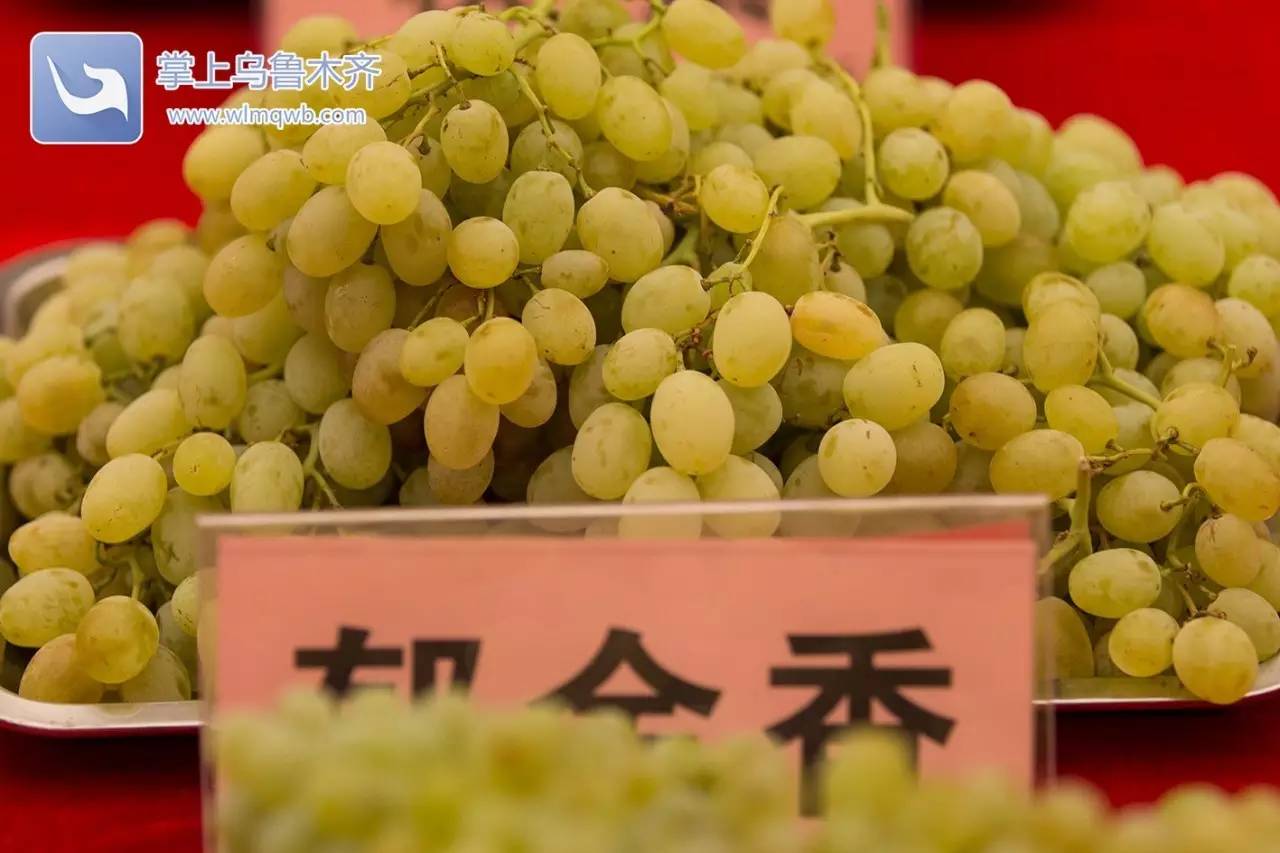 自带花香味的葡萄你吃过吗,吃葡萄不吐葡萄皮的葡萄怎么挑