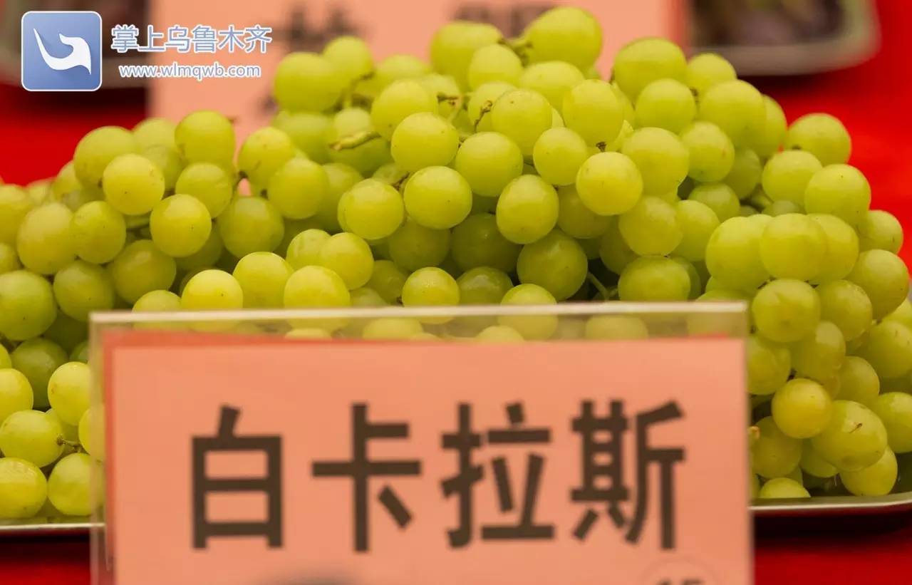 自带花香味的葡萄你吃过吗,吃葡萄不吐葡萄皮的葡萄怎么挑