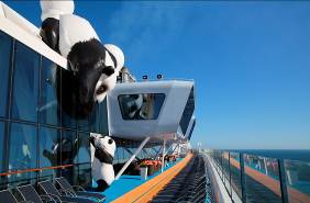 katespadenewyork是什么牌子,katespadenewyork什么价位