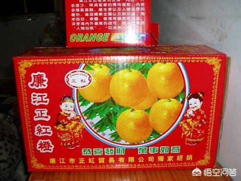 橙子的简介及作用,登乐现场女主唱橙子简介