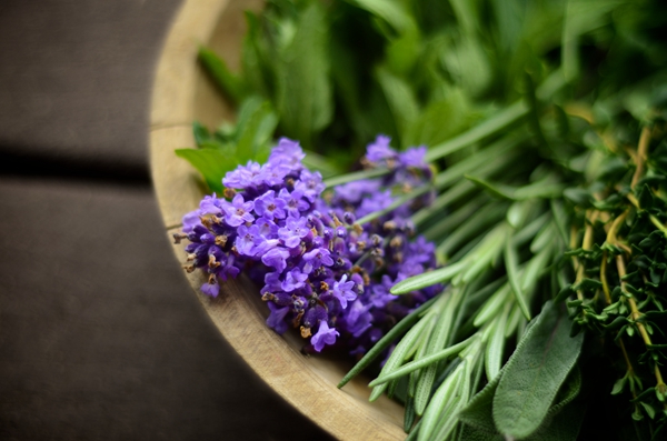 乐活家丨你天天闻的香水，竟然是用这些材料做的！再次忍住不吐