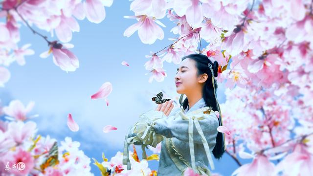 白莲花墨兰成功洗白,白莲花回来以后小说