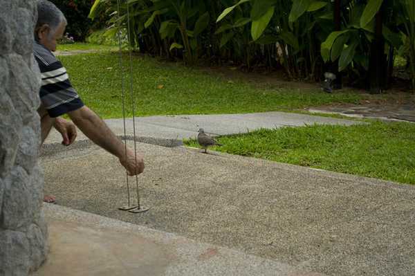 普吉岛旅游攻略7日5晚,普吉岛的海岛之旅