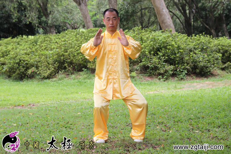 传统太极十三式教学,三丰太极十三式