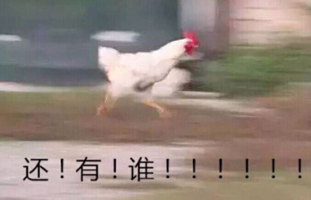 老王教你正确搞鸡！